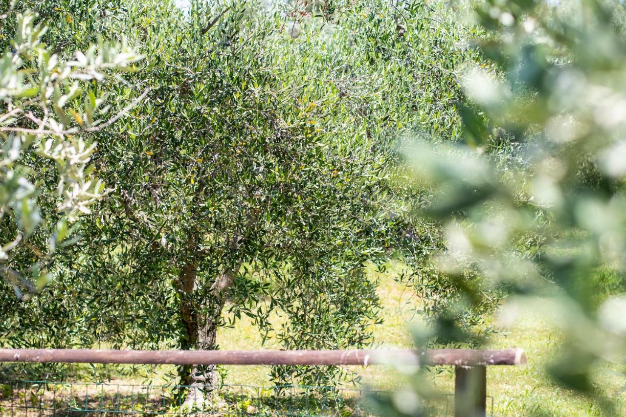 Agriturismo Filettro Villa Volterra Exterior foto