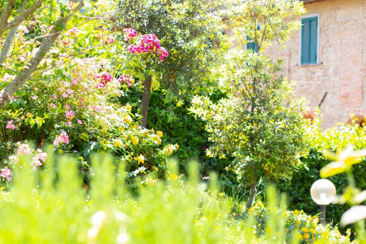 Agriturismo Filettro Villa Volterra Exterior foto