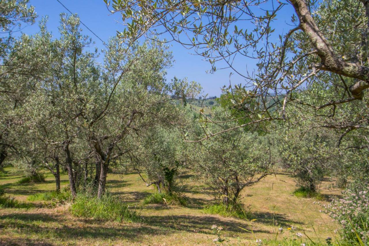 Agriturismo Filettro Volterra Exterior foto