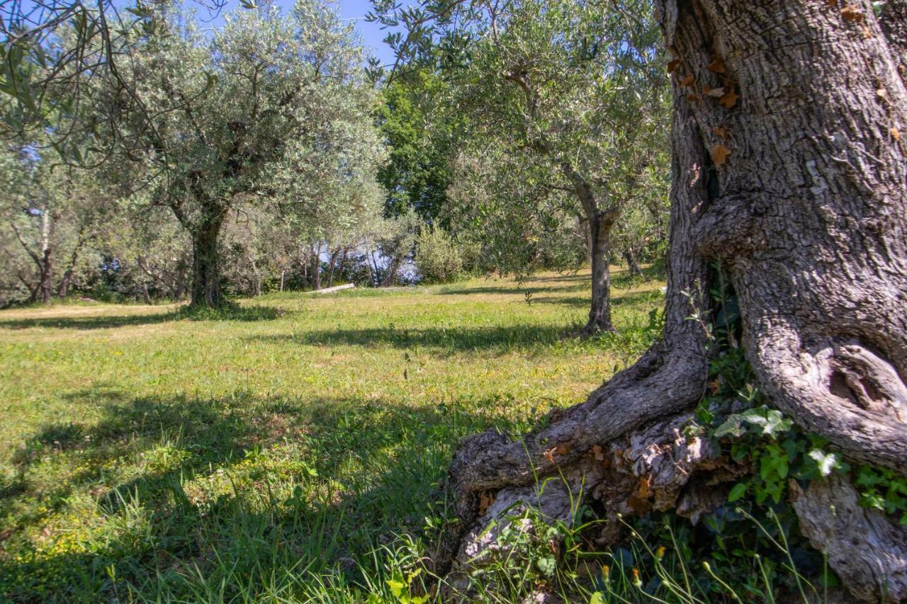 Agriturismo Filettro Volterra Exterior foto